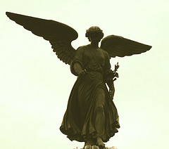 Some wandering angels of the rheumatology world